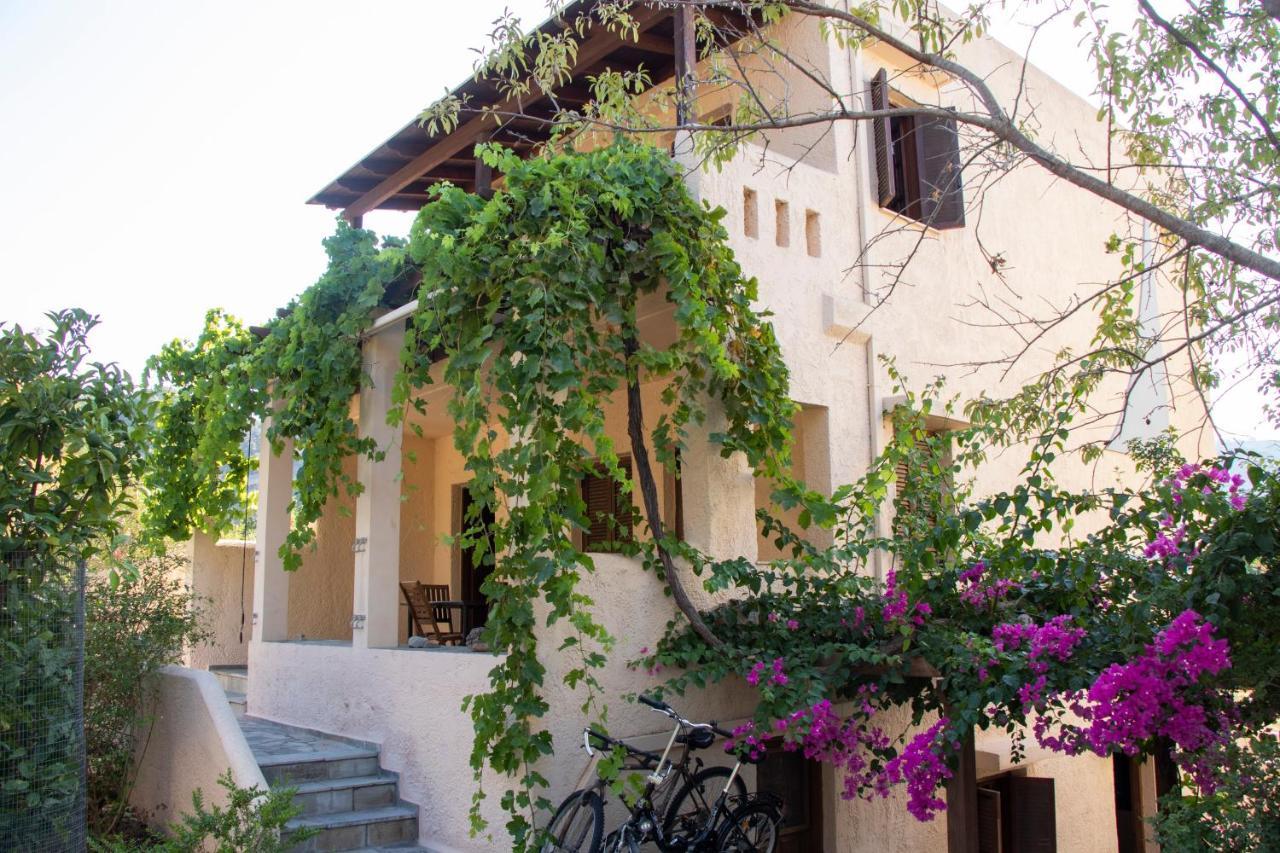 Sini Apartments 3 Kéfalos المظهر الخارجي الصورة